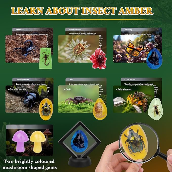 Amber Dig Kit, 6 Insect Specimens and 2 Gem Digging Kit for Kids Age 8-12, Fossil Kit Science Kits for Kids Age 8-12 Boys Girls, Birthday Gifts, Amber Collection