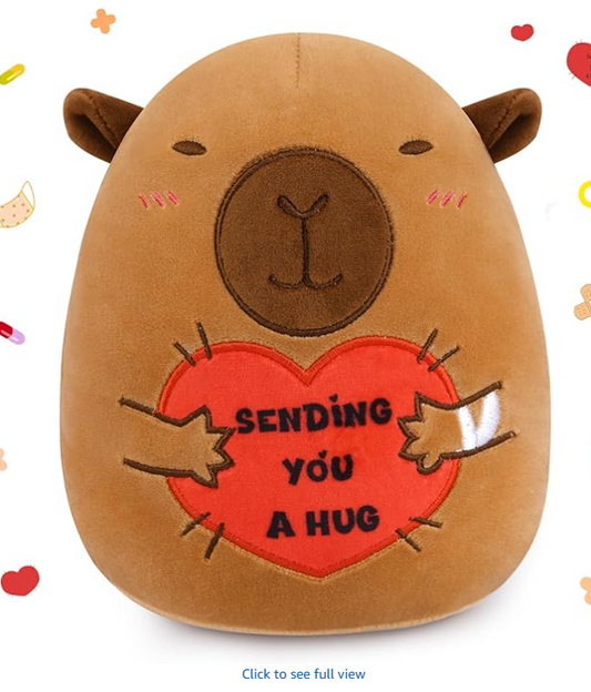 Capybara Plush, 8 Inch Get Well Soon Stuffed Animal with Bandage & Heart Hug for Surgery Recovery, Emotional Support Plush Toy, Feel Better & Get Well Gifts for Women, Men & Kids
