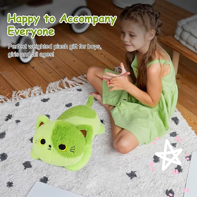 Weighted Avocado Cat Plush,Weighted Cat Stuffed Animal for Kids,Cute Cat Weighted Plushies Soft Avocado Pillow Birthdays Gifts for Kids Boys Girls
