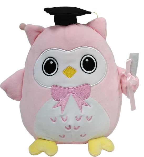 Graduation Plush - Owl Stuffed Animal,Graduation Stuffed Animal 2025,8in Owl Plush Pillow with Black Cap,2025 Graduation Decorations Gifts for Kids Girls Boys Men Women