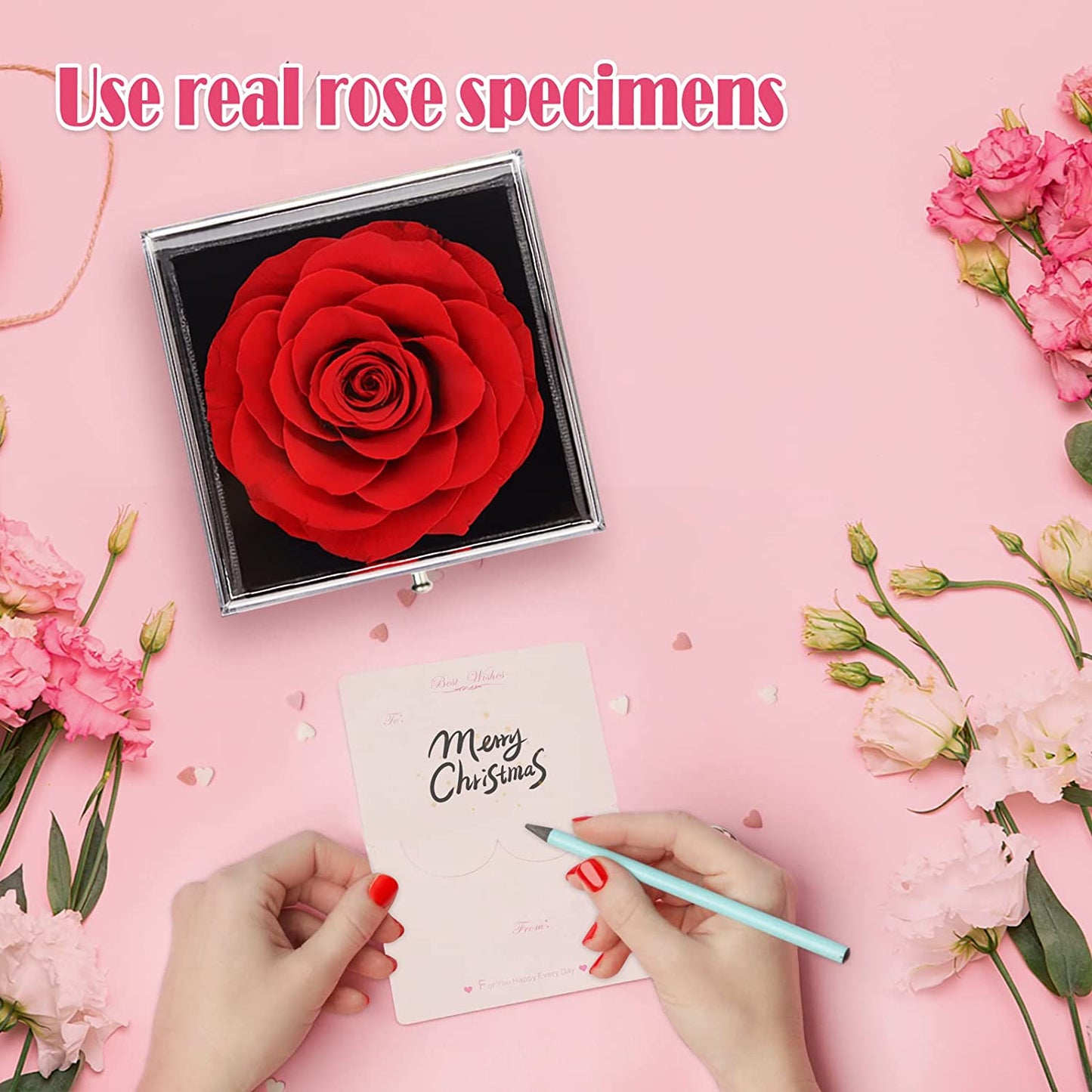 Preserved Rose with Love You Necklace in 100 Languages Gift Set, Enchanted Eternal Rose Flower for Valentine's Day Anniversary Wedding Bthday Romantic Gift