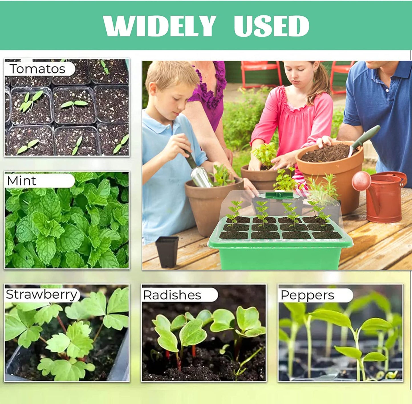 Seed Starter Tray, Seed Starter Kit with Grow Light, Adjustable Humidity & Light Seed Starting Trays, Seedling Plant Starter Trays Pack of 5